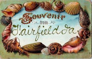 Sea Shells, Souvenier from Fairfield Iowa Vintage Postcard M15