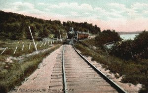 Vintage Postcard 1911 On line of W.C.R.R. Lake Pemamaquan ME Maine Train Locomot