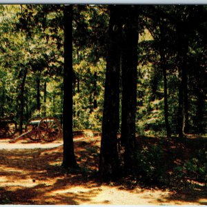 c1960s Marietta, GA Confederate Trenches Cheatham Hill Earthworks Civil War A221