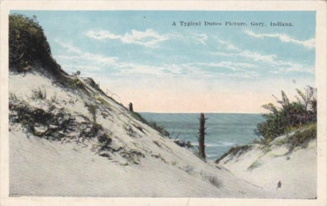 Indiana Gary Typical Dune Scene On Southern Shore Of Lake Michigan