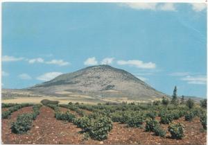 Mount Tabor, Israel, unused Postcard
