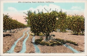 Irrigating Peach Orchard California CA Peaches Tree Unused Postcard H21