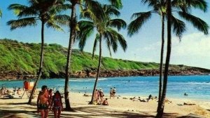 Postcard Sun Bathers under Palm Trees on Hanauma Bay, Honolulu, HA.  S5