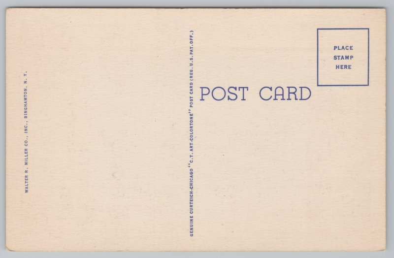 Linen~Courthouse & US Flag Binghampton New York~Vintage Postcard