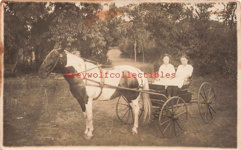 Two Women in Horse and Carriage, RPPC