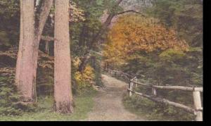 Vermont Windsor Shaded Path Through Paradise Albertype