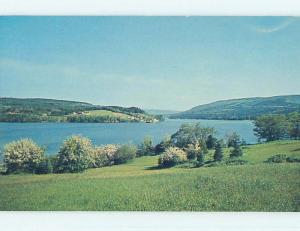 Unused Pre-1980 TOWN VIEW SCENE Cape Breton Nova Scotia NS p8934