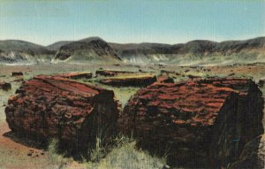 Postcard Agatized Logs Petrified Forest Arizona