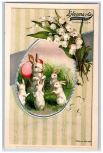 Chicago IL Corwith IA Postcard Easter Bunnies Rabbit Eggs D'Ancona Advertising