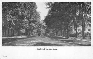 Canaan Connecticut~Elm Street Scene~House Behind Trees~Unpaved Street~Vintage PC