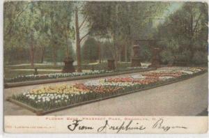 Flower Beds Prospect Park Brooklyn NY 1906