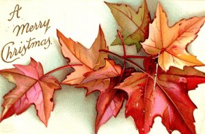C. 1910 Fall Leaves Merry Christmas Holiday Greetings Vintage Postcard F10