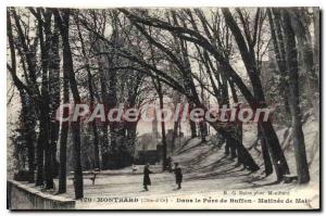 Postcard Old Montbard In The Park Of Buffon Matinee From May