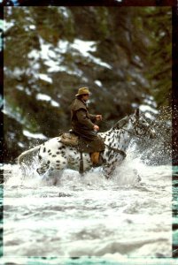 Canada Trail Riders In Western Canada