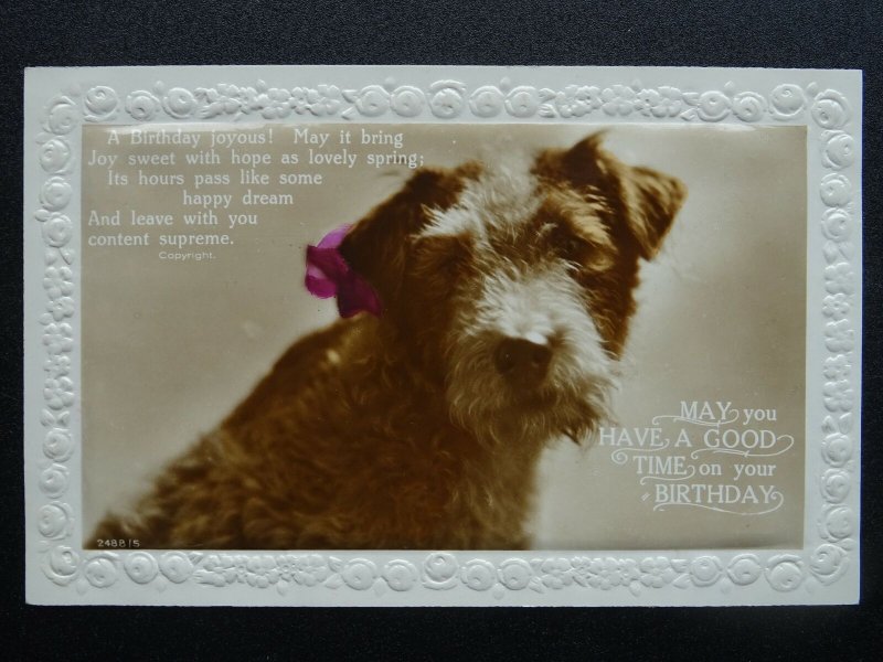 21ST Birthday Greetings & TERRIER Dog Breed in a Ribbon - Old RP Postcard