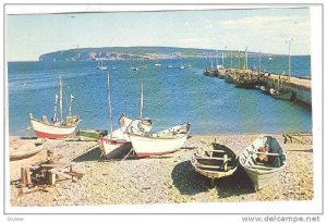 Bonaventure Island Bird Sanctuary , Quebec , Canada , 40-60s