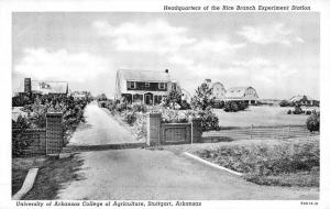 Stuttgart Arkansas University College of Agriculture Antique Postcard K52595 