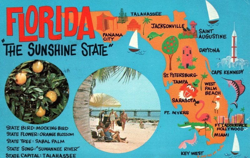 VINTAGE POSTCARD MAP OF FLORIDA THE SUNSHINE STATE MAILED MINERAL SPRINGS 1972