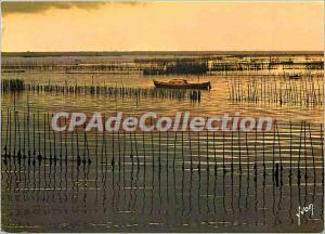 Modern Postcard Arcachon (Gironde) In the park oysters