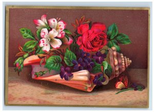 1880s Embossed Victorian Cards Seashells Butterfly Moth Flowers Lot Of 2 #6D