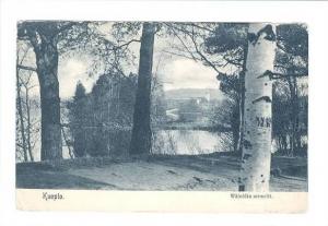 Finland    Kuopio postcard  LP11