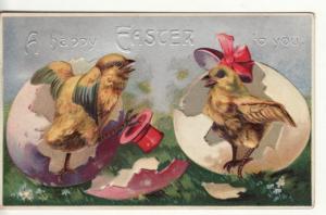 EASTER   DRESSED CHICKS in HATCHED EGGS  1910 postcard