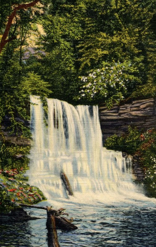 PA - Rickett's Glen. Shelden Reynolds Falls