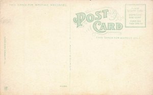 Thousand Island House, Alexandra Bay, New York, early postcard, unused 