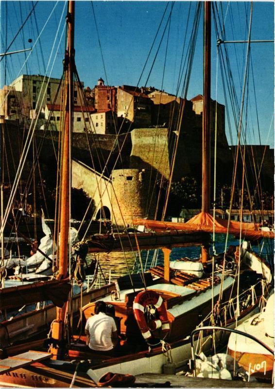 CPM CORSE - CALVI - Les voiliers amarrés au quai de plaisance (710950)