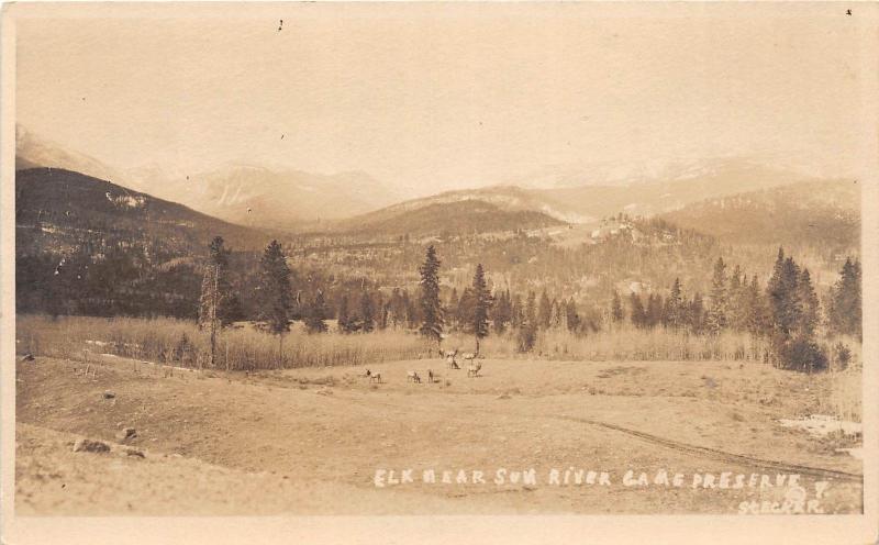 D55/ Sun River Montana Mt Real Photo RPPC Postcard c1910 Elk Herd Preserve
