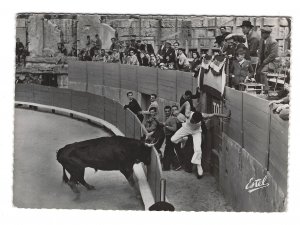 RPPC - Corrida De Toros - The Bull Fight - c1930 - Continental Size