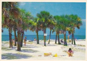 Howard Park Tarpon Springs Florida