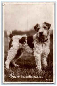 1957 Fox Terrier Dog Peterborough Ontario Canada RPPC Photo Vintage Postcard