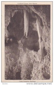 Celery Formation, Big Room, Carlsbad Caverns, New Mexico,   PU_00-10s