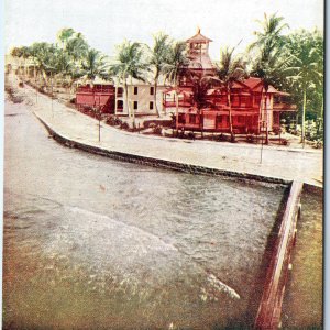 c1910s Colon, Panama Tropical Palm Beach Buildings Canal Waterfront Tower A351