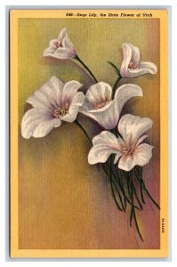 Sego Lily Blossom Utah State Flower UT UNP LInen Postcard T20