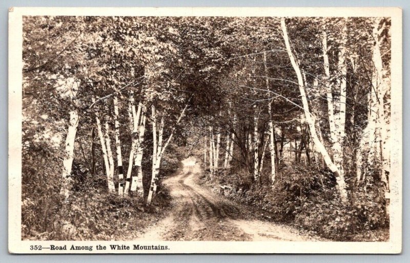 RPPC - Road Along  White Mountains  New Hampshire - Real Photo Postcard  c1930