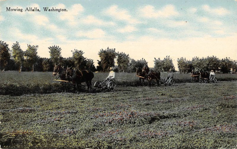 Mowing Alfalfa Hay Farming Washington 1910c postcard
