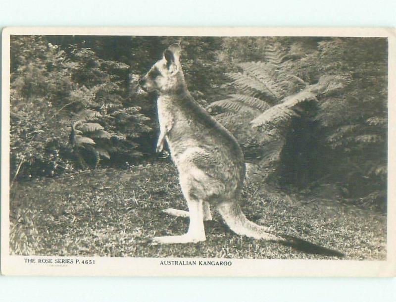 old rppc NICE VIEW Country Of Australia i1820