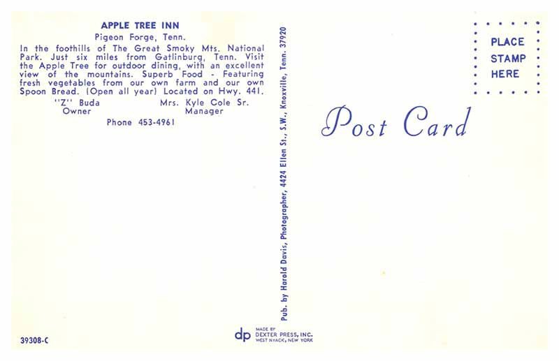 Postcard RESTAURANT SCENE Pigeon Forge Tennessee TN AP1046