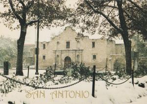 The Alamo Postcard Texas San Antonio  Historic Building