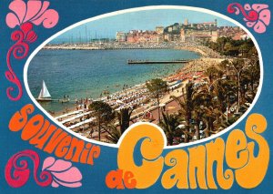 Cannes France, Couleurs Et Lumiere De La Cote D'Azur Miracle De Nature, Postcard