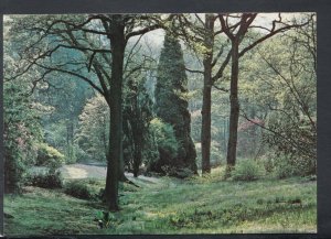 Sussex Postcard - The High Beeches Gardens, Handcross    RR7095