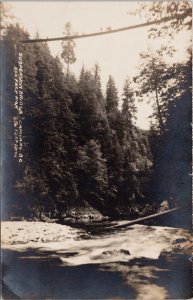 Suspension Bridge Capilano BC British Columbia Unused Victor RPPC Postcard H59