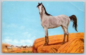 Beautiful Horse   Freemans  Cafe  Evanston  Wyoming  Postcard