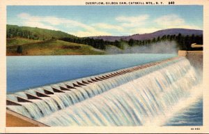 New York Catskills Gilboa Dam Overflow Curteich