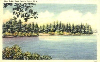 Pine Point - East Caroga Lake, New York