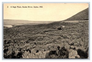 Sage Plain Snake River ID Oregon Trail Monument Expedition UNP DB Postcard G18