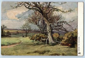Postcard Across the Meadows Country Charms c1910 Posted Oilette Tuck Art