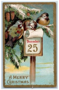 c1910's Christmas Calendar Pine Cone Birds Winter Embossed Antique Postcard